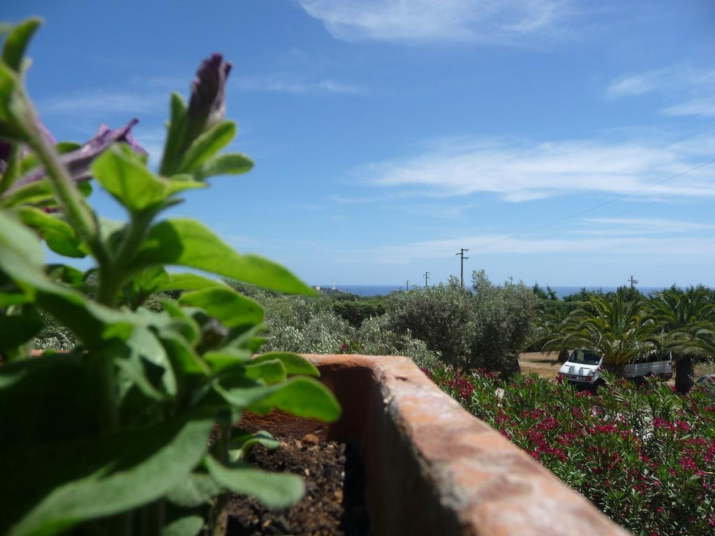 Masseria Serine Santa Maria di Leuca Ngoại thất bức ảnh